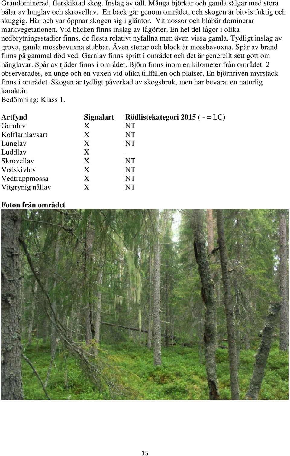 En hel del lågor i olika nedbrytningsstadier finns, de flesta relativt nyfallna men även vissa gamla. Tydligt inslag av grova, gamla mossbevuxna stubbar. Även stenar och block är mossbevuxna.