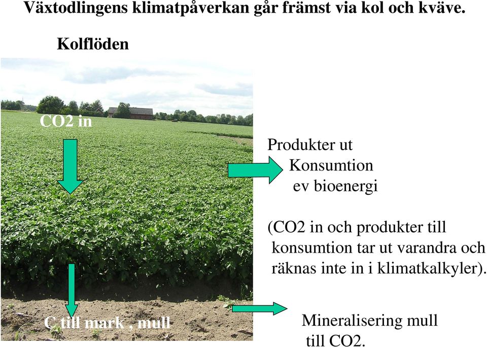 och produkter till konsumtion tar ut varandra och räknas inte