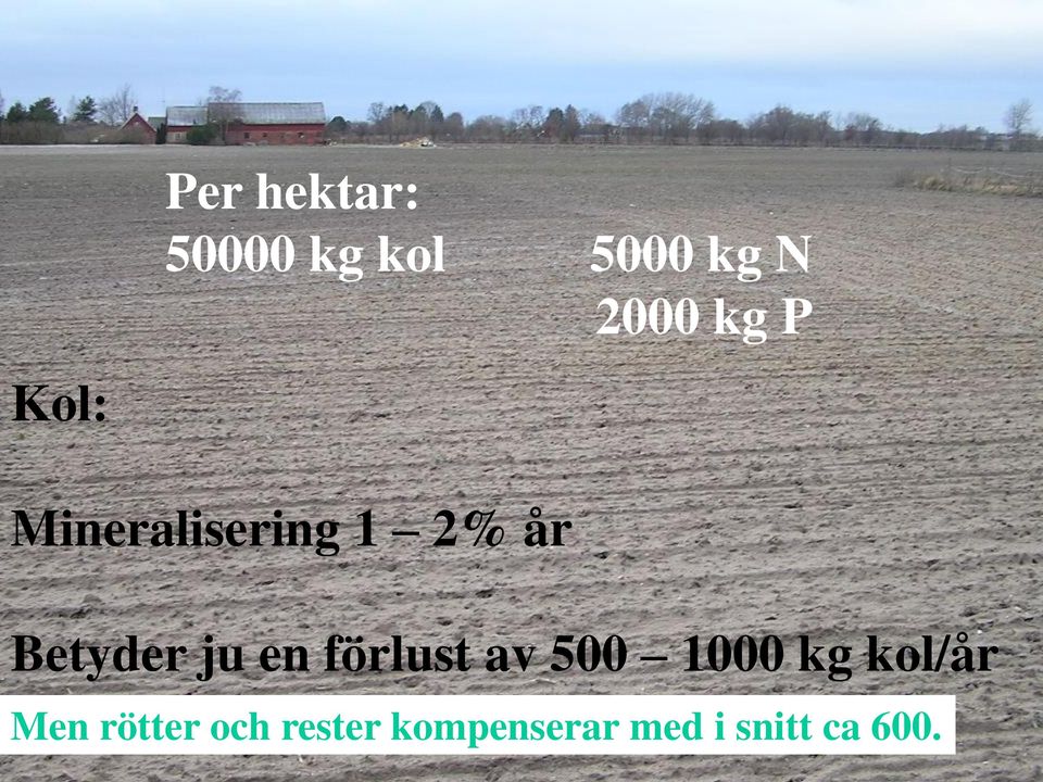 en förlust av 500 1000 kg kol/år Men