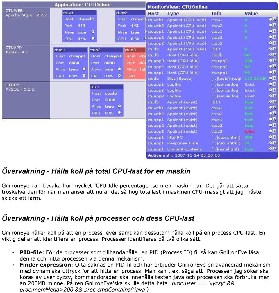 Övervakning - Hålla koll på processer och dess CPU-last GnilronEye håller koll på att en process lever samt kan dessutom hålla koll på en process CPU-last. En viktig del är att identifiera en process.