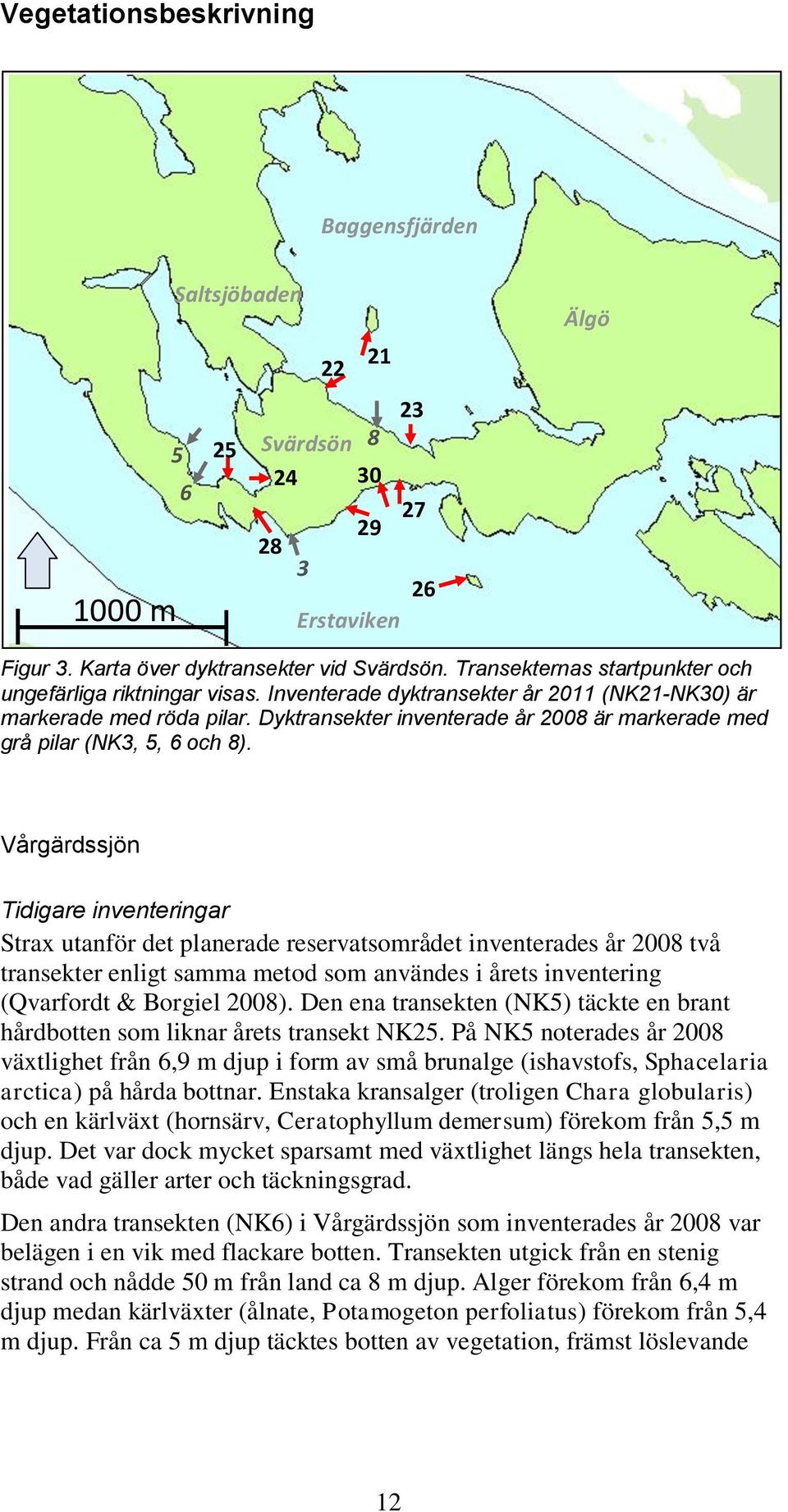 Dyktransekter inventerade år 2008 är markerade med grå pilar (NK3, 5, 6 och 8).