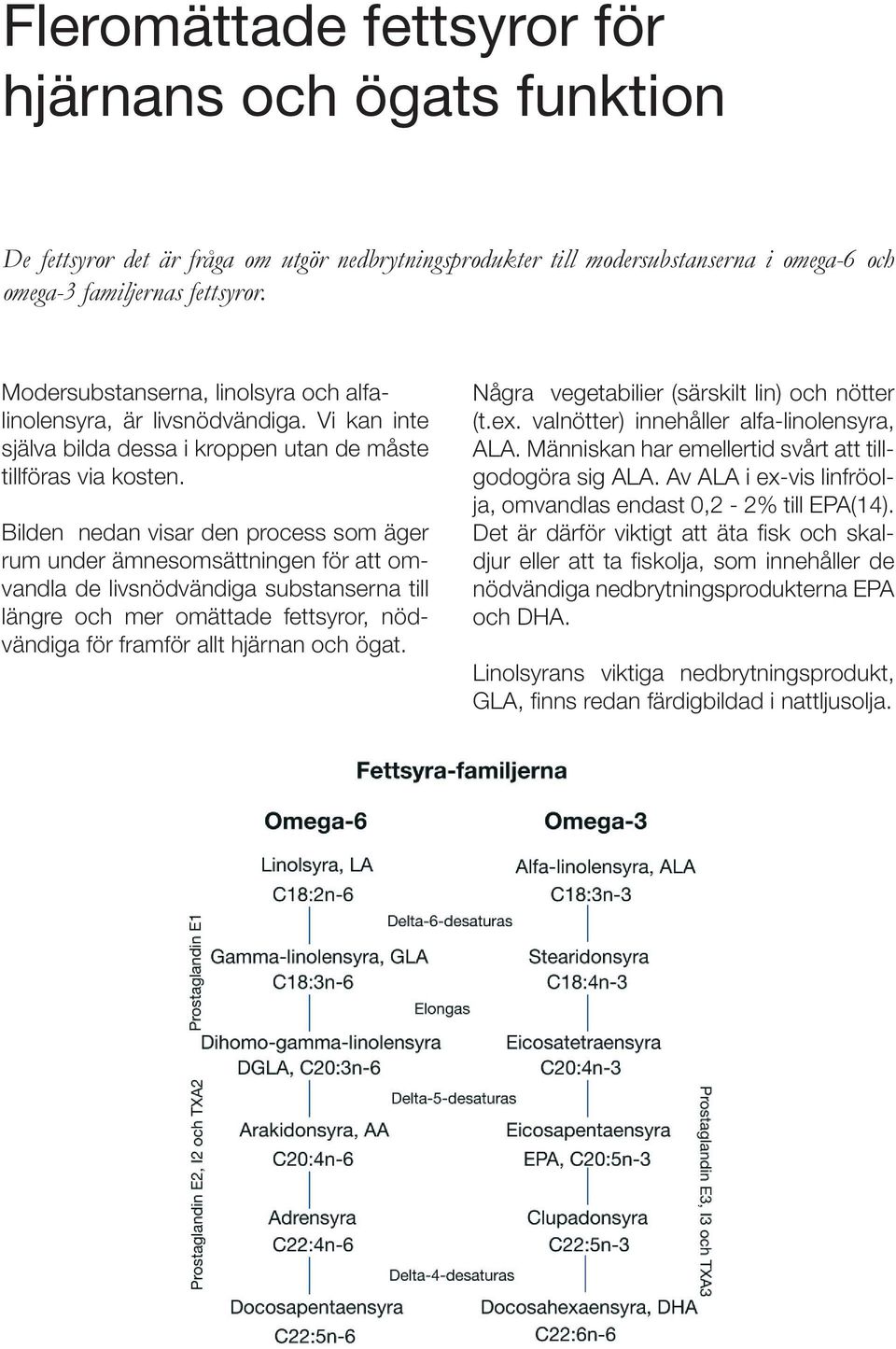 Bilden nedan visar den process som äger rum under ämnesomsättningen för att omvandla de livsnödvändiga substanserna till längre och mer omättade fettsyror, nödvändiga för framför allt hjärnan och