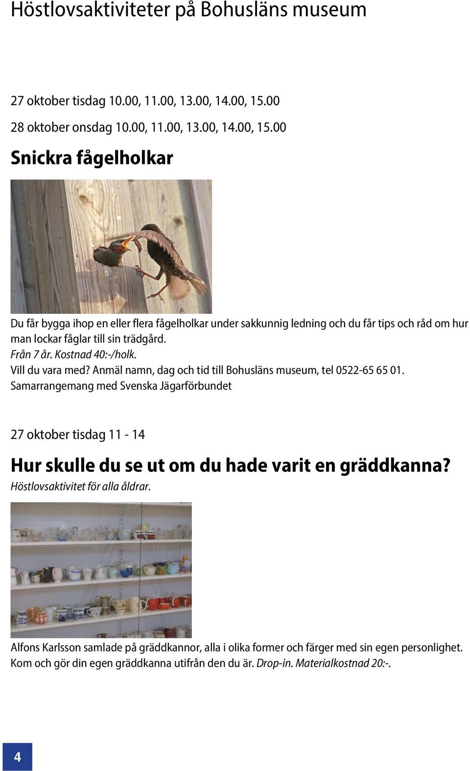 00 Snickra fågelholkar Du får bygga ihop en eller flera fågelholkar under sakkunnig ledning och du får tips och råd om hur man lockar fåglar till sin trädgård. Från 7 år. Kostnad 40:-/holk.