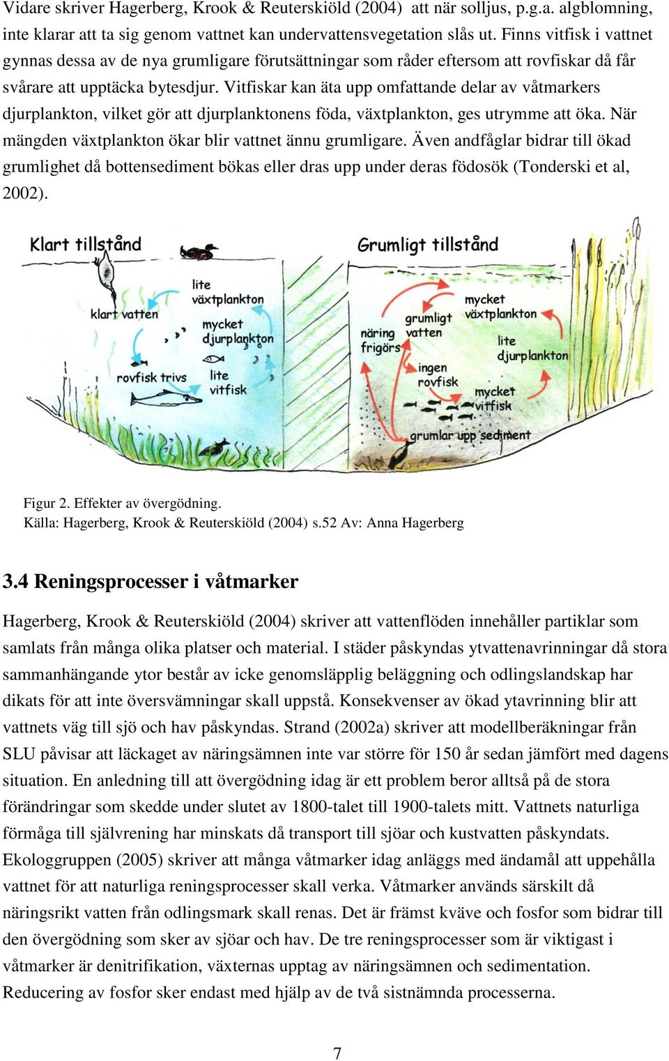 Vitfiskar kan äta upp omfattande delar av våtmarkers djurplankton, vilket gör att djurplanktonens föda, växtplankton, ges utrymme att öka. När mängden växtplankton ökar blir vattnet ännu grumligare.