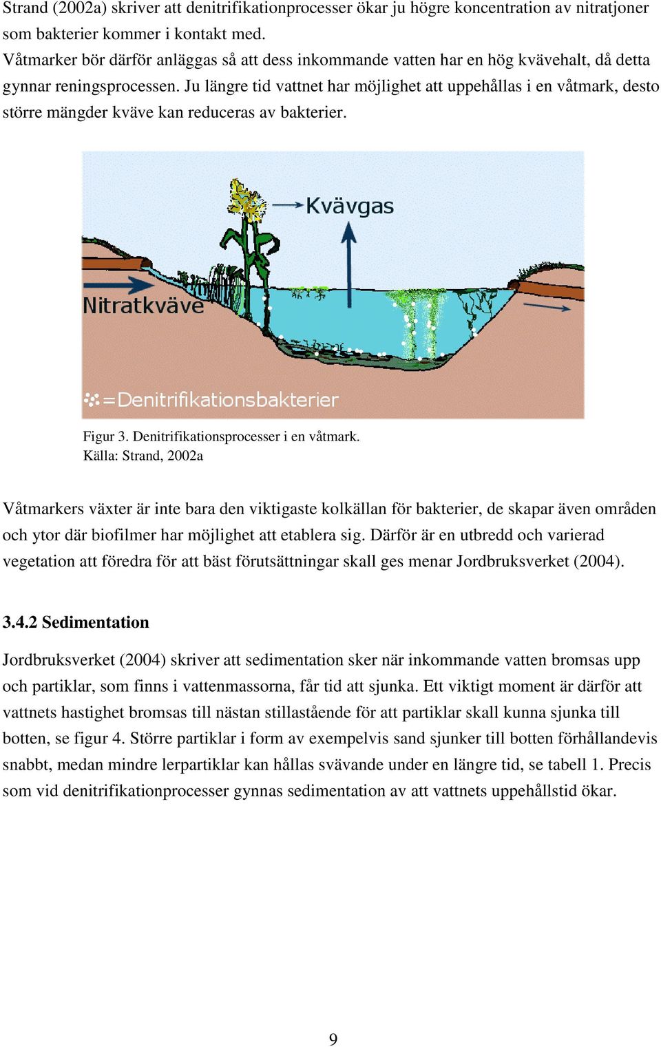 Ju längre tid vattnet har möjlighet att uppehållas i en våtmark, desto större mängder kväve kan reduceras av bakterier. Figur 3. Denitrifikationsprocesser i en våtmark.