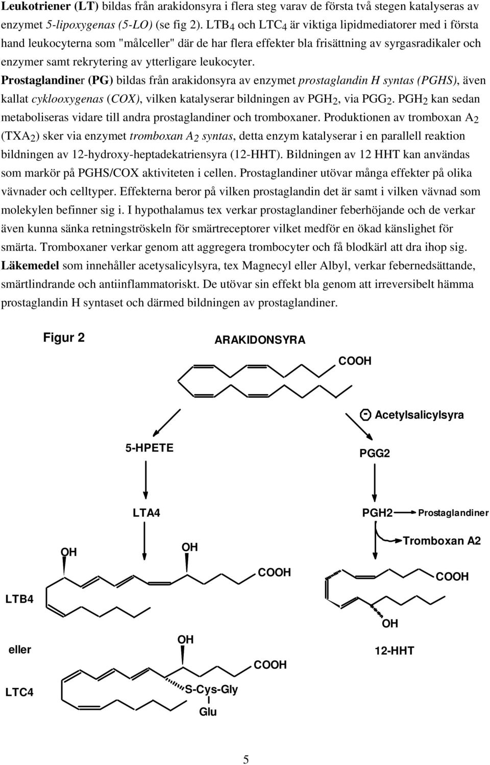 leukocyter. Prostaglandiner (PG) bildas från arakidonsyra av enzymet prostaglandin syntas (PGS), även kallat cyklooxygenas (X), vilken katalyserar bildningen av PG 2, via PGG 2.