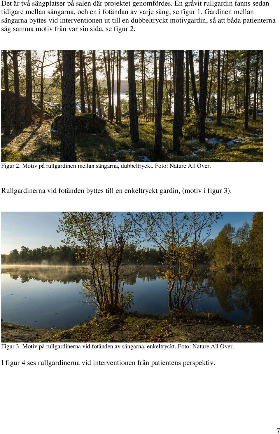 Figur 2. Motiv på rullgardinen mellan sängarna, dubbeltryckt. Foto: Nature All Over. Rullgardinerna vid fotänden byttes till en enkeltryckt gardin, (motiv i figur 3).