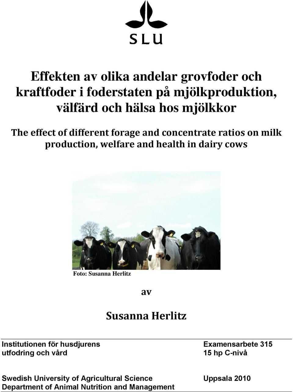 dairy cows Foto: Susanna Herlitz av Susanna Herlitz Institutionen för husdjurens Examensarbete 315