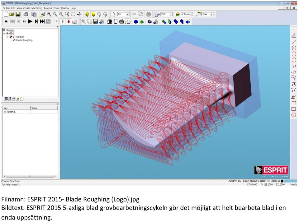 jpg Bildtext: ESPRIT 2015 5 axliga blad