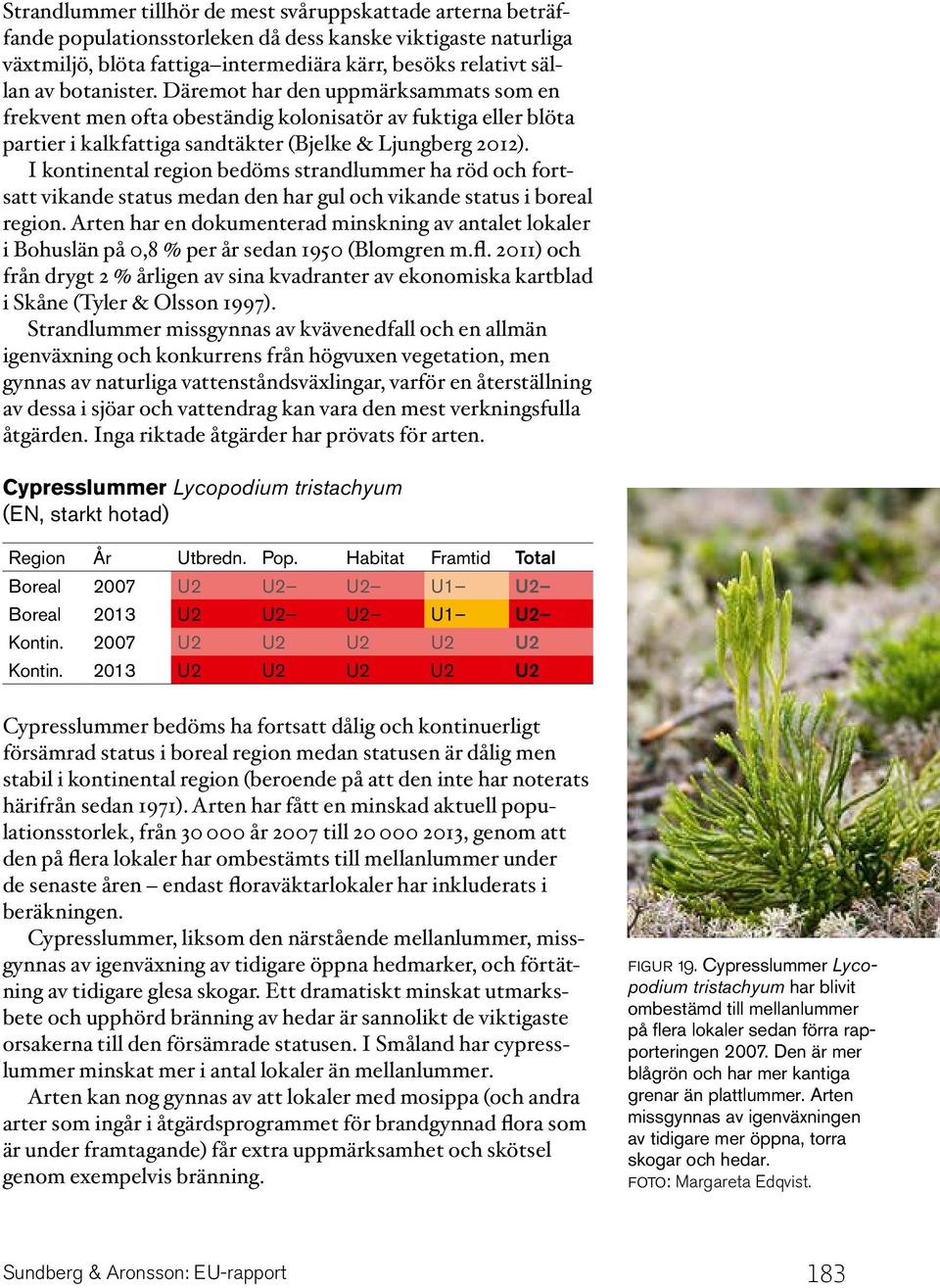 I kontinental region bedöms strandlummer ha röd och fortsatt vikande status medan den har gul och vikande status i boreal region.