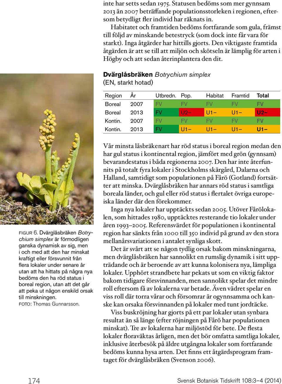 Den viktigaste framtida åtgärden är att se till att miljön och skötseln är lämplig för arten i Högby och att sedan återinplantera den dit.