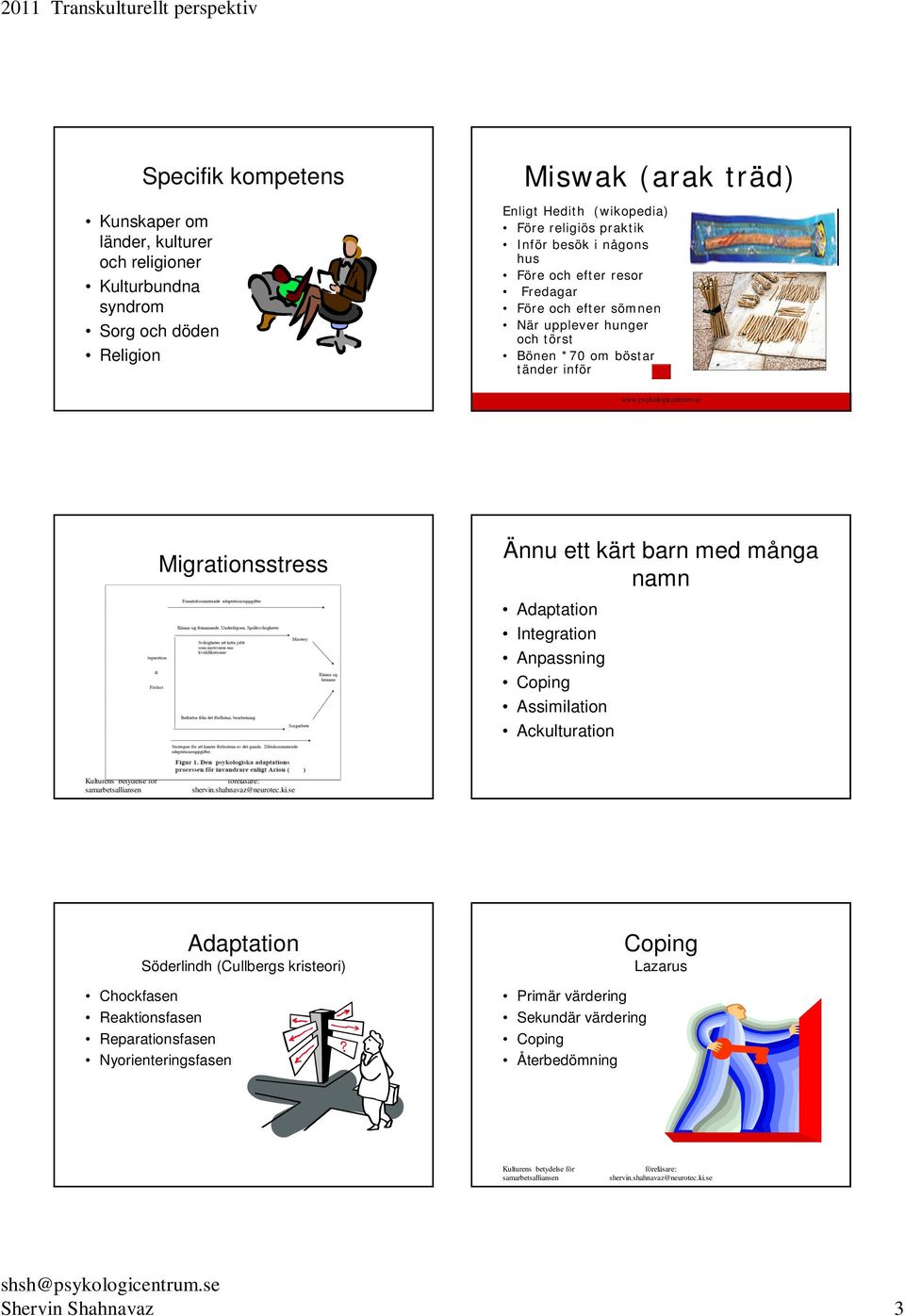 Anpassning Coping Assimilation Ackulturation Kulturens betydelse för samarbetsalliansen föreläsare: shervin.shahnavaz@neurotec.ki.