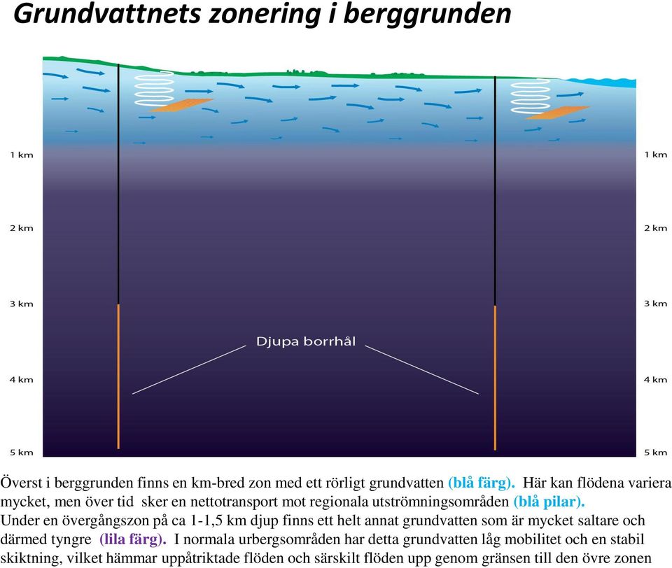 Under en övergångszon på ca 1-1,5 km djup finns ett helt annat grundvatten som är mycket saltare och därmed tyngre (lila färg).