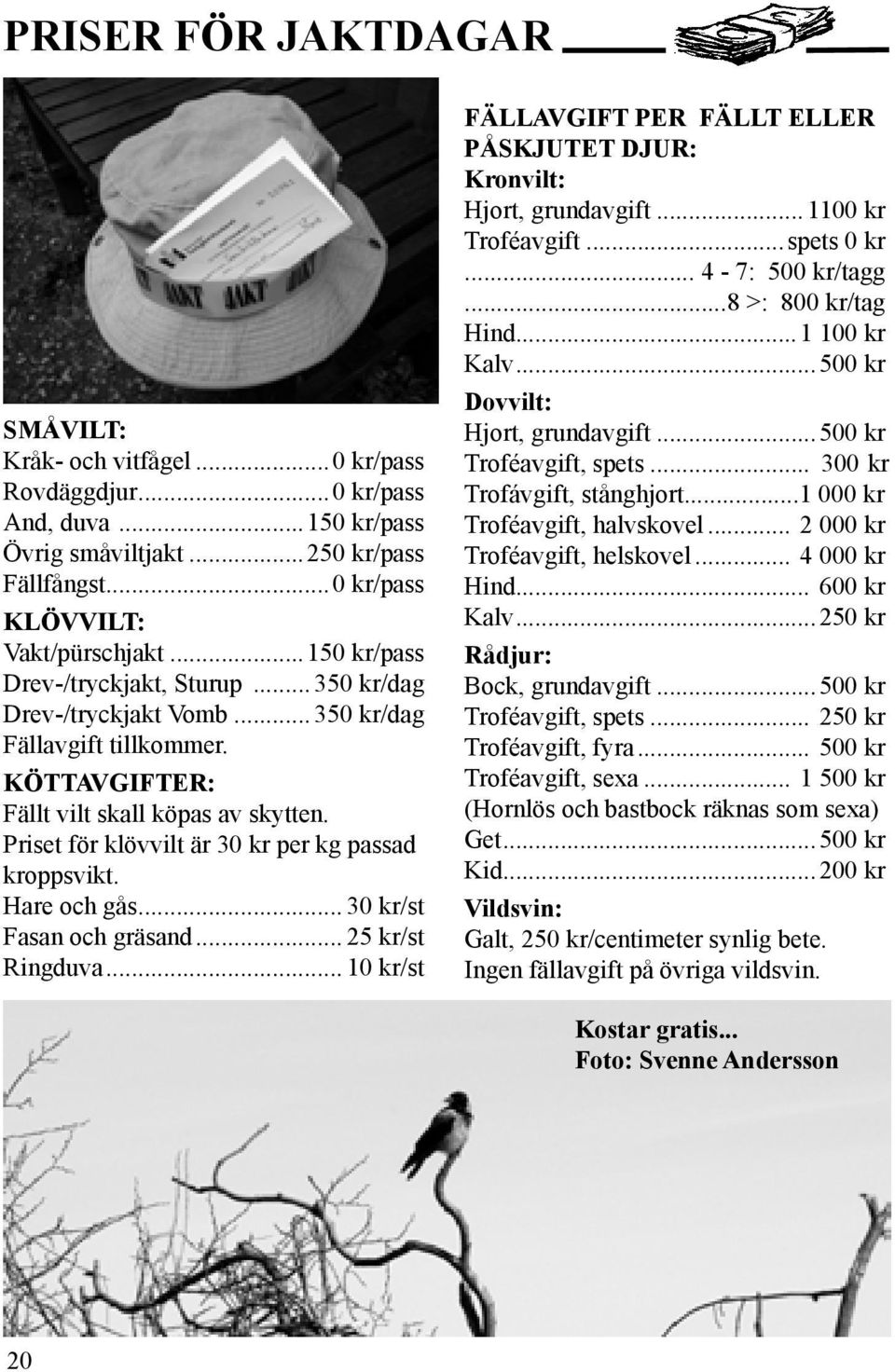 Priset för klövvilt är 30 kr per kg passad kroppsvikt. Hare och gås... 30 kr/st Fasan och gräsand... 25 kr/st Ringduva.