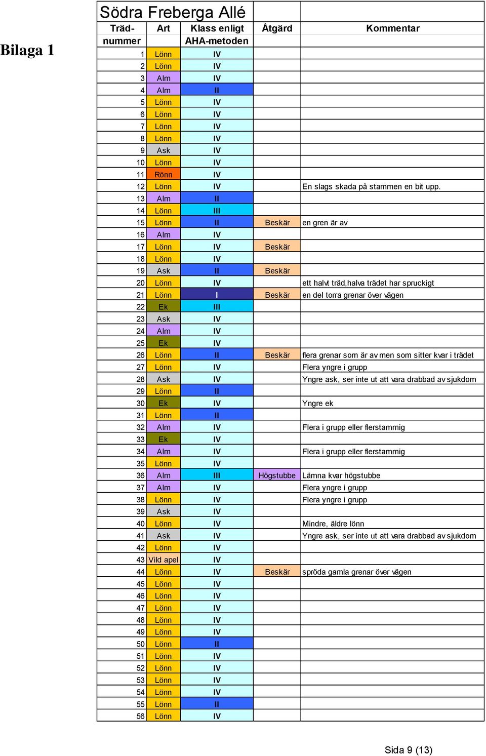 13 Alm II 14 Lönn III 15 Lönn II Beskär en gren är av 16 Alm IV 17 Lönn IV Beskär 18 Lönn IV 19 Ask II Beskär 20 Lönn IV ett halvt träd,halva trädet har spruckigt 21 Lönn I Beskär en del torra grenar