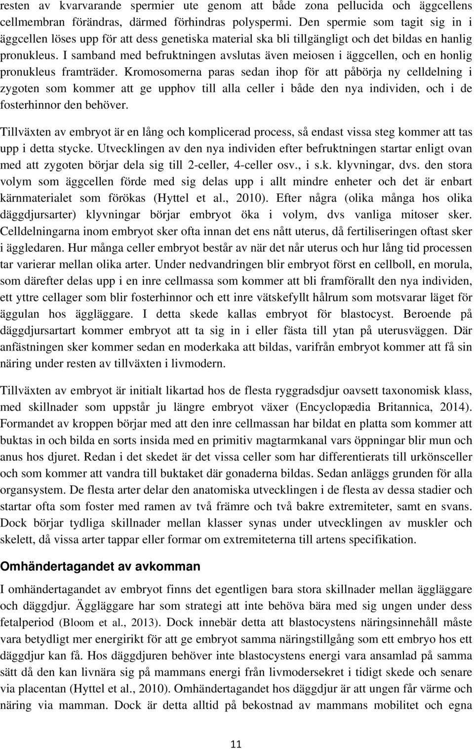 I samband med befruktningen avslutas även meiosen i äggcellen, och en honlig pronukleus framträder.