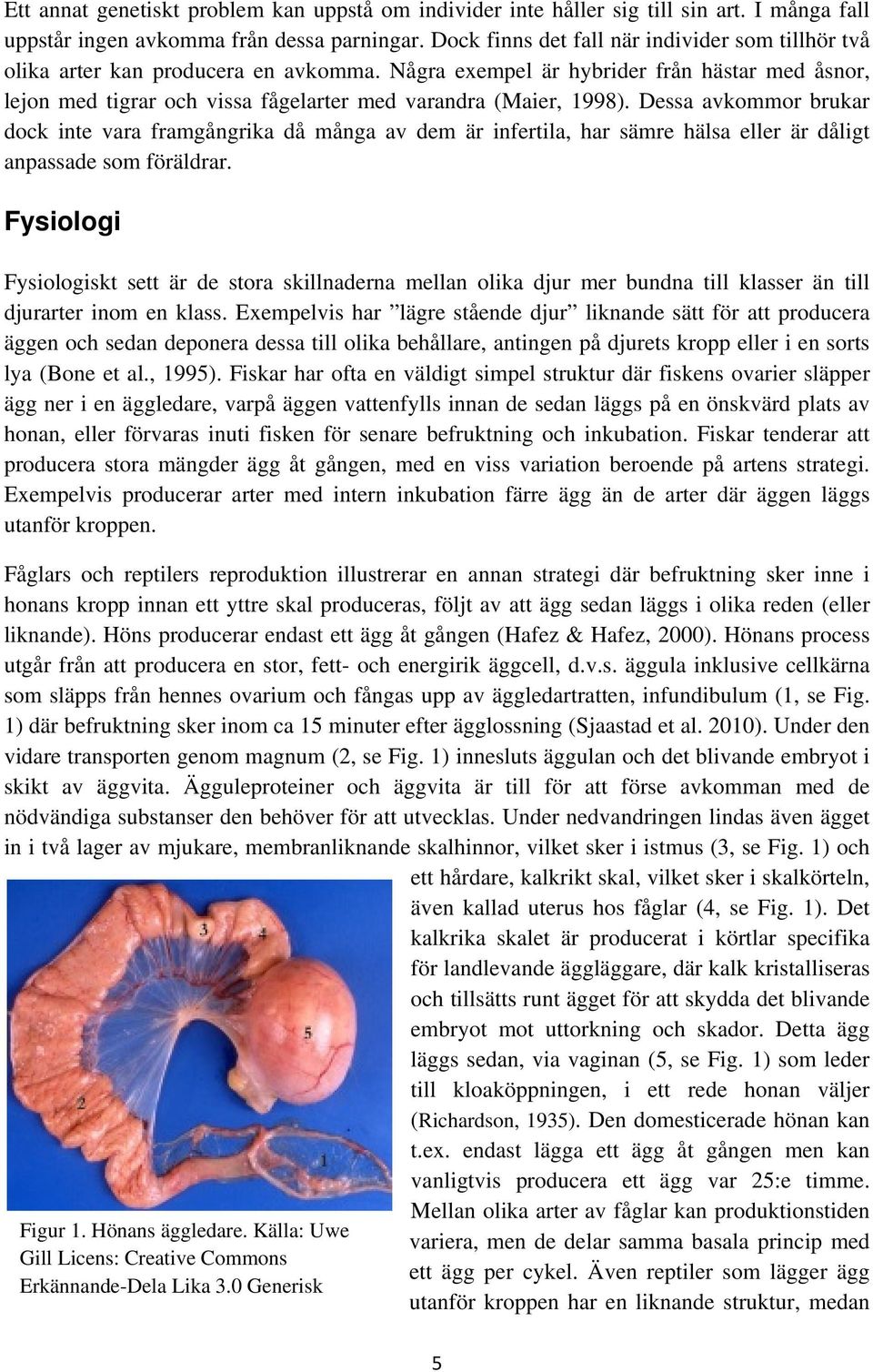 Några exempel är hybrider från hästar med åsnor, lejon med tigrar och vissa fågelarter med varandra (Maier, 1998).