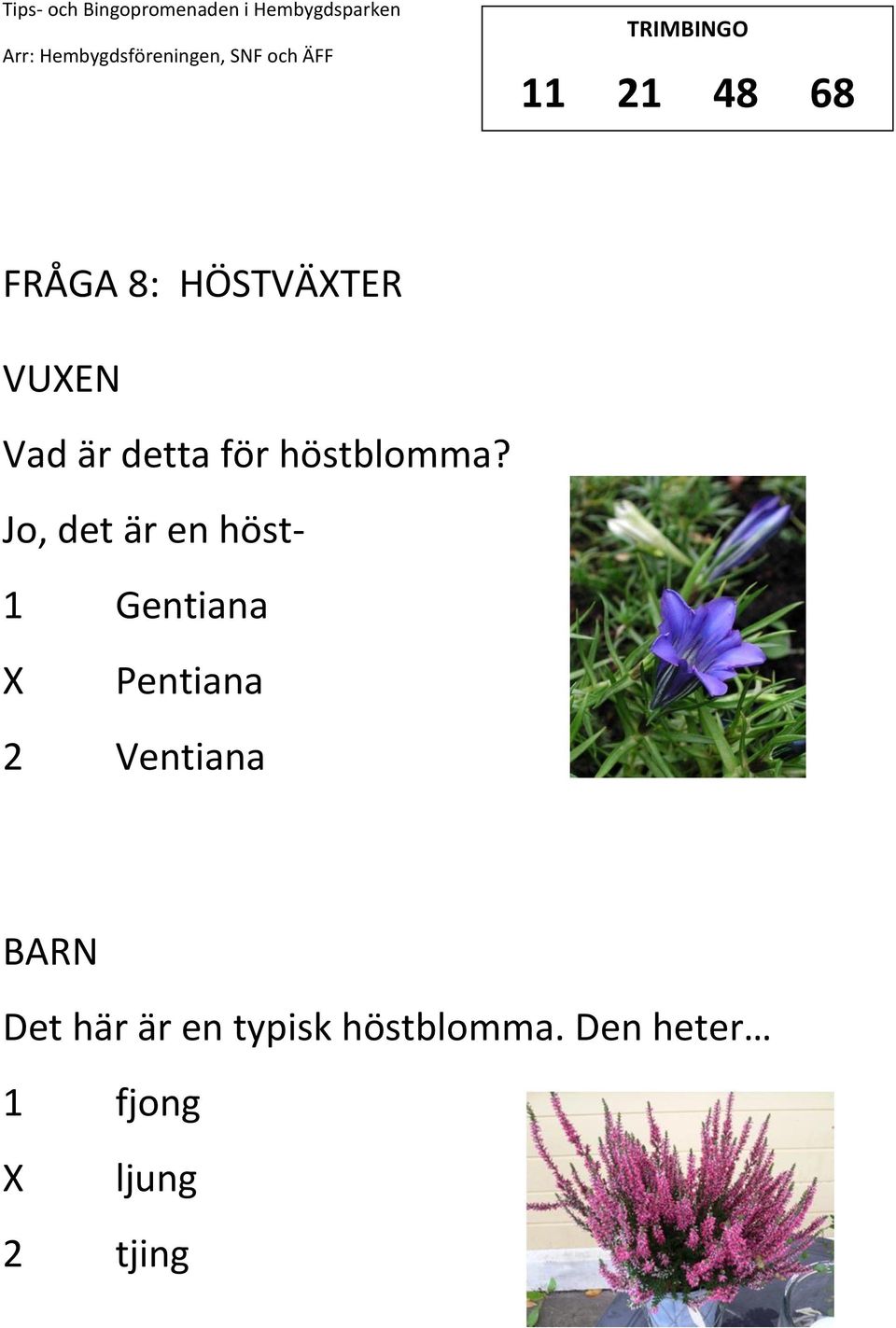 Jo, det är en höst- 1 Gentiana Pentiana 2