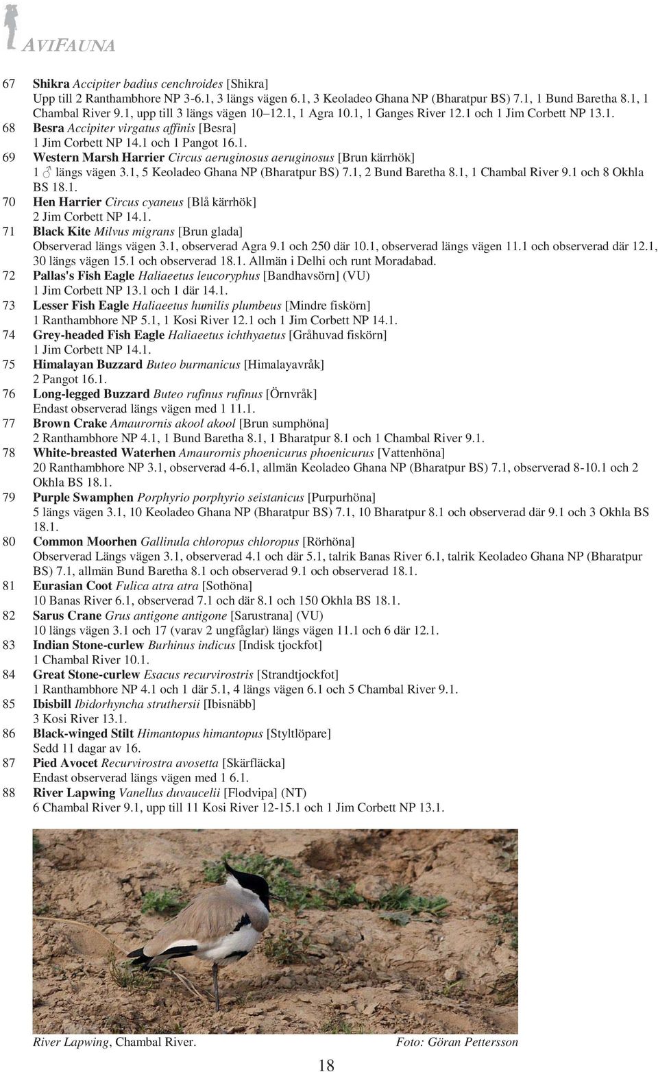 1, 5 Keoladeo Ghana NP (Bharatpur BS) 7.1, 2 Bund Baretha 8.1, 1 Chambal River 9.1 och 8 Okhla BS 18.1. 70 Hen Harrier Circus cyaneus [Blå kärrhök] 2 Jim Corbett NP 14.1. 71 Black Kite Milvus migrans [Brun glada] Observerad längs vägen 3.