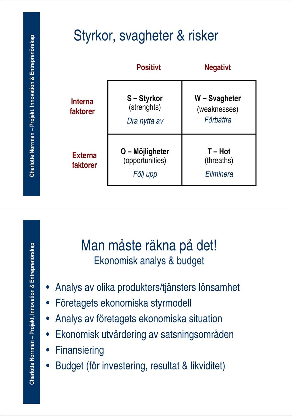 Ekonomisk analys & budget Analys av olika produkters/tjänsters lönsamhet Företagets ekonomiska styrmodell Analys av