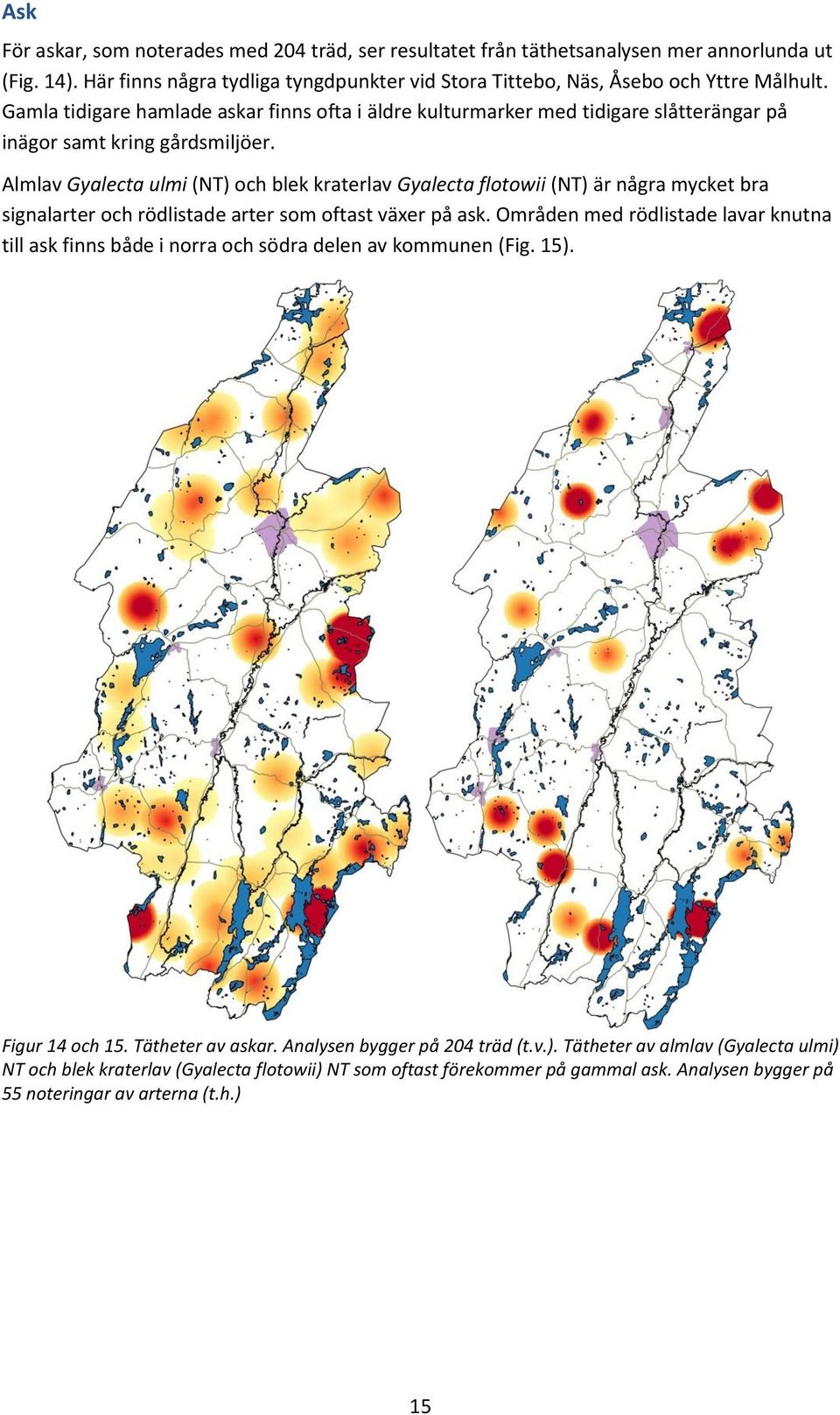 Almlav Gyalecta ulmi (NT) och blek kraterlav Gyalecta flotowii (NT) är några mycket bra signalarter och rödlistade arter som oftast växer på ask.