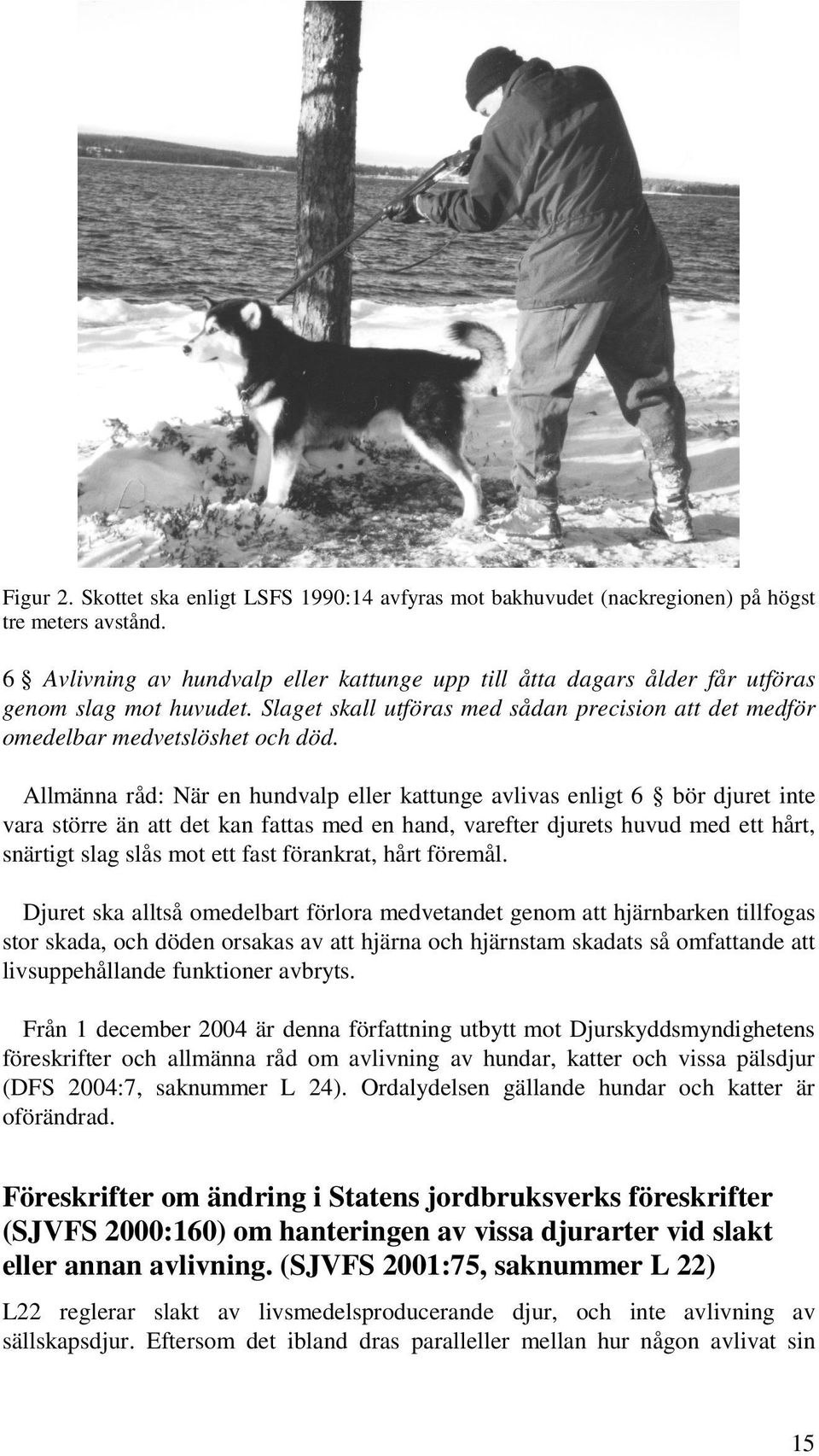 Allmänna råd: När en hundvalp eller kattunge avlivas enligt 6 bör djuret inte vara större än att det kan fattas med en hand, varefter djurets huvud med ett hårt, snärtigt slag slås mot ett fast