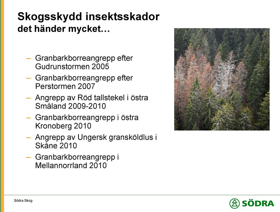 tallstekel i östra Småland 2009-2010 Granbarkborreangrepp i östra Kronoberg