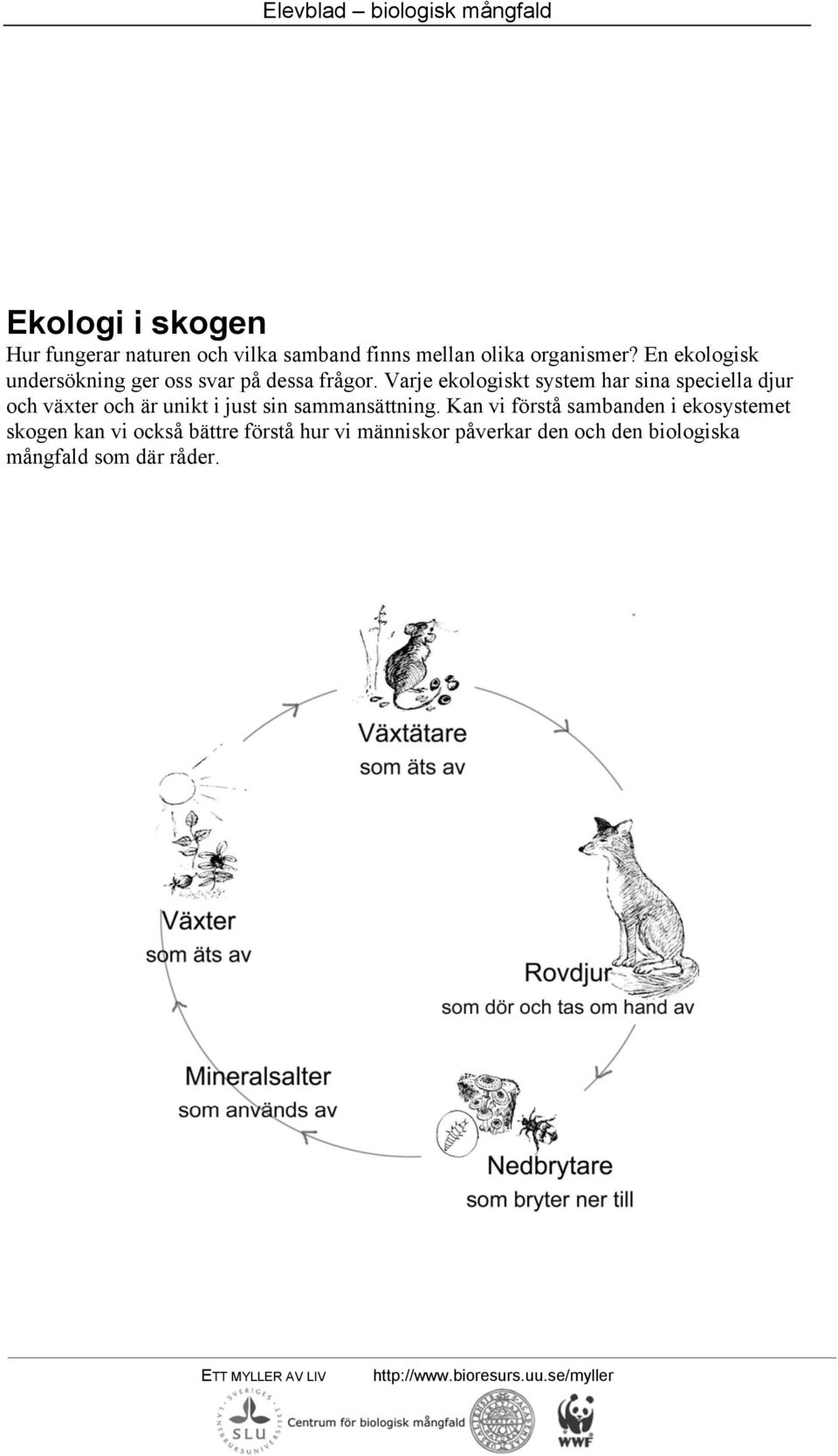 Varje ekologiskt system har sina speciella djur och växter och är unikt i just sin sammansättning.