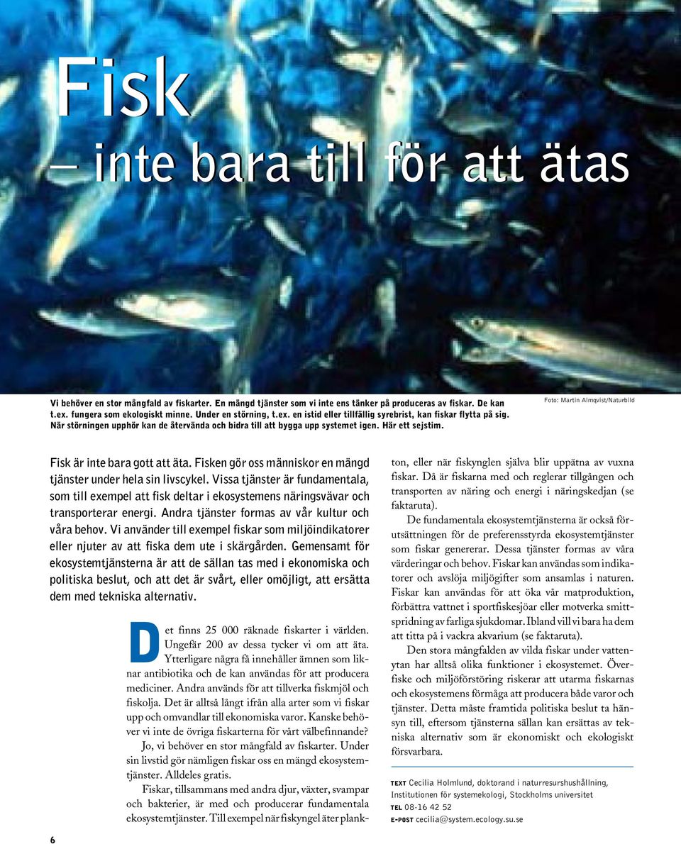 Foto: Martin Almqvist/Naturbild Fisk är inte bara gott att äta. Fisken gör oss människor en mängd tjänster under hela sin livscykel.