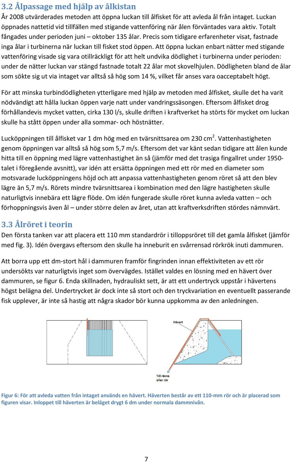 Precis som tidigare erfarenheter visat, fastnade inga ålar i turbinerna när luckan till fisket stod öppen.