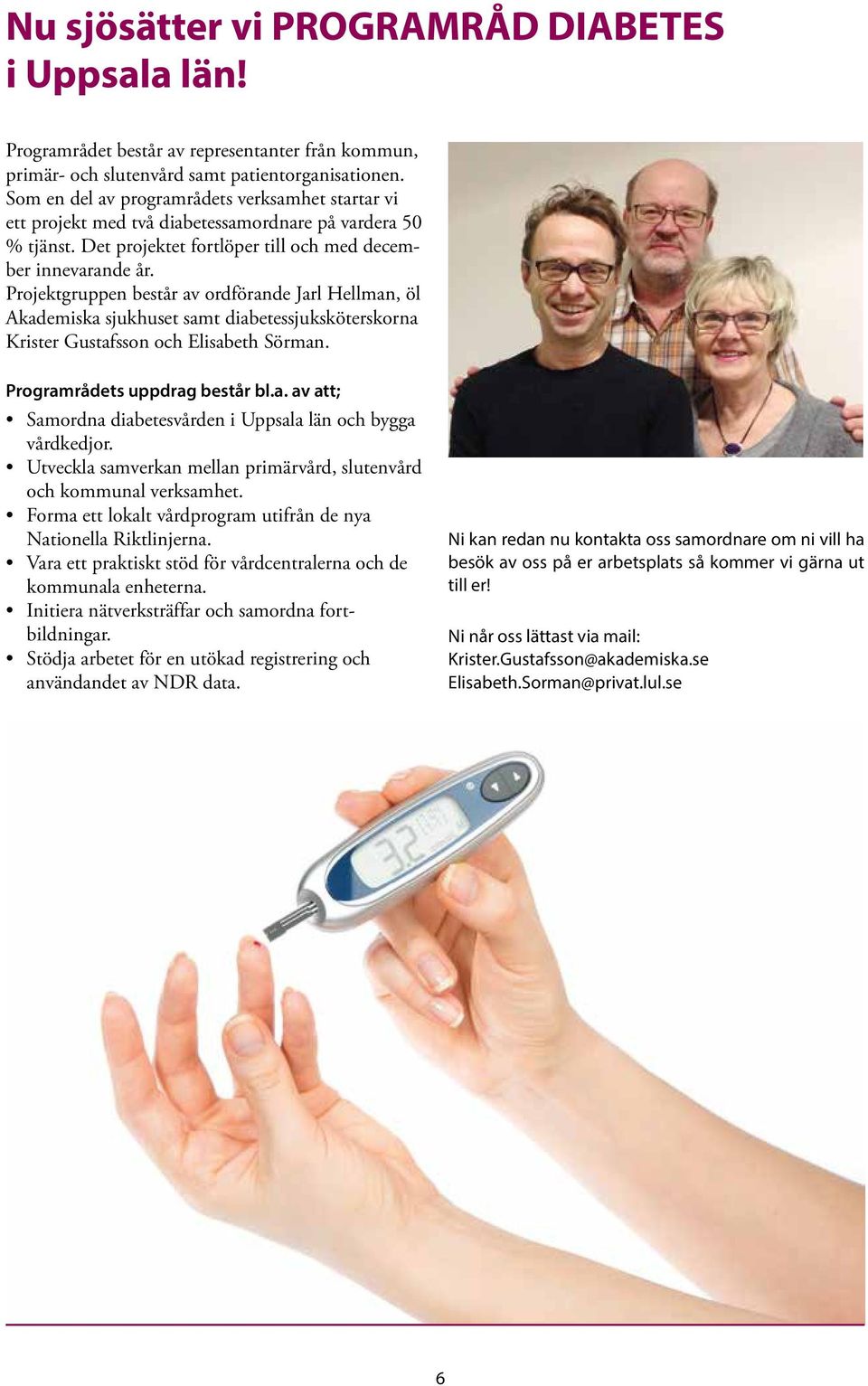 Projektgruppen består av ordförande Jarl Hellman, öl Akademiska sjukhuset samt diabetessjuksköterskorna Krister Gustafsson och Elisabeth Sörman. Programrådets uppdrag består bl.a. av att; Samordna diabetesvården i Uppsala län och bygga vårdkedjor.