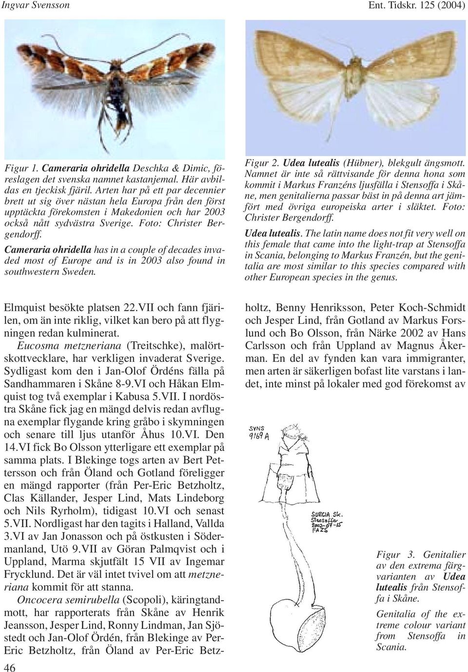 Cameraria ohridella has in a couple of decades invaded most of Europe and is in 2003 also found in southwestern Sweden. 46 Figur 2. Udea lutealis (Hübner), blekgult ängsmott.