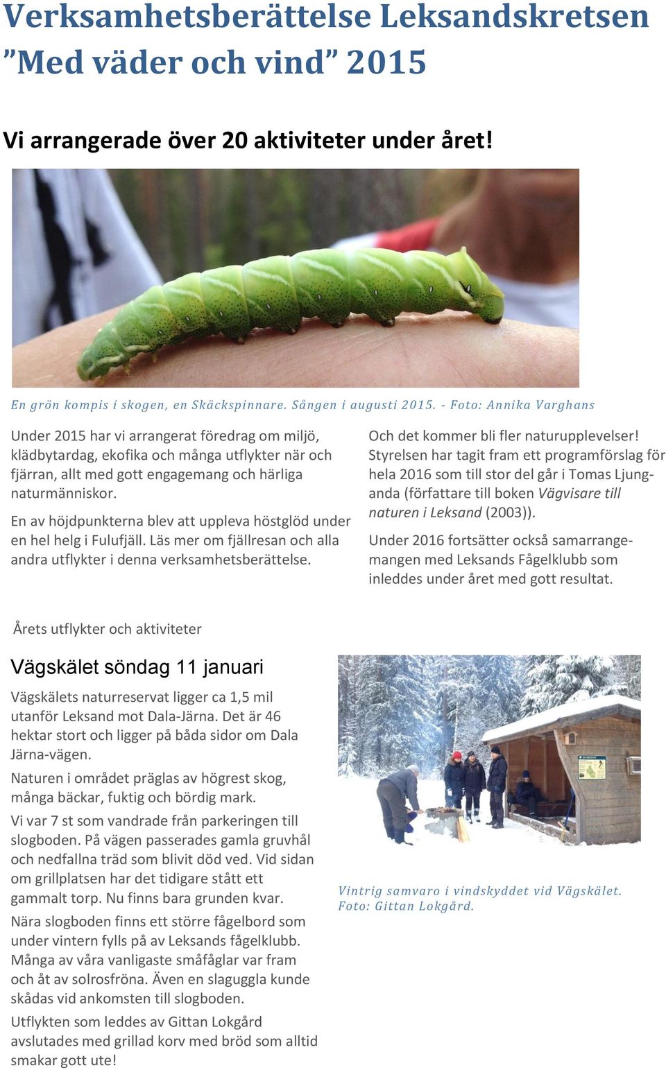 En av höjdpunkterna blev att uppleva höstglöd under en hel helg i Fulufjäll. Läs mer om fjällresan och alla andra utflykter i denna verksamhetsberättelse. Och det kommer bli fler naturupplevelser!