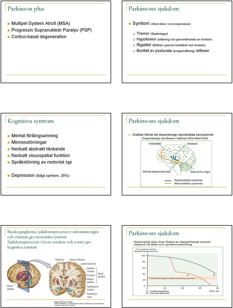 Minnesstörningar Nedsatt abstrakt tänkande Nedsatt visuospatial funktion Språkstörning av motorisk typ Drabbar främst det dopaminerga nigrostriatala bansystemet Depression (tidigt symtom, 25%) Basala