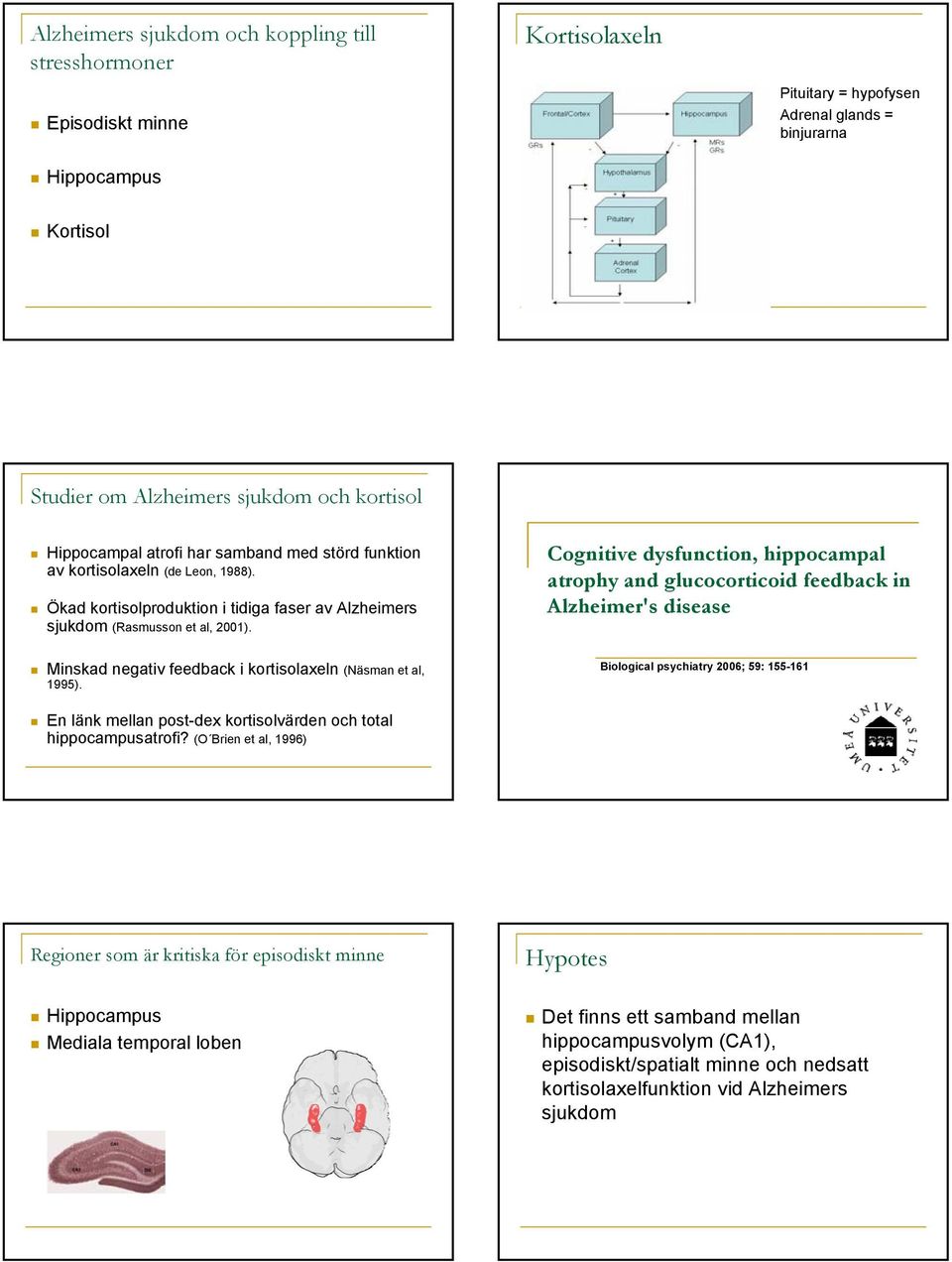 Cognitive dysfunction, hippocampal atrophy and glucocorticoid feedback in Alzheimer's disease Minskad negativ feedback i kortisolaxeln (Näsman et al, 1995).