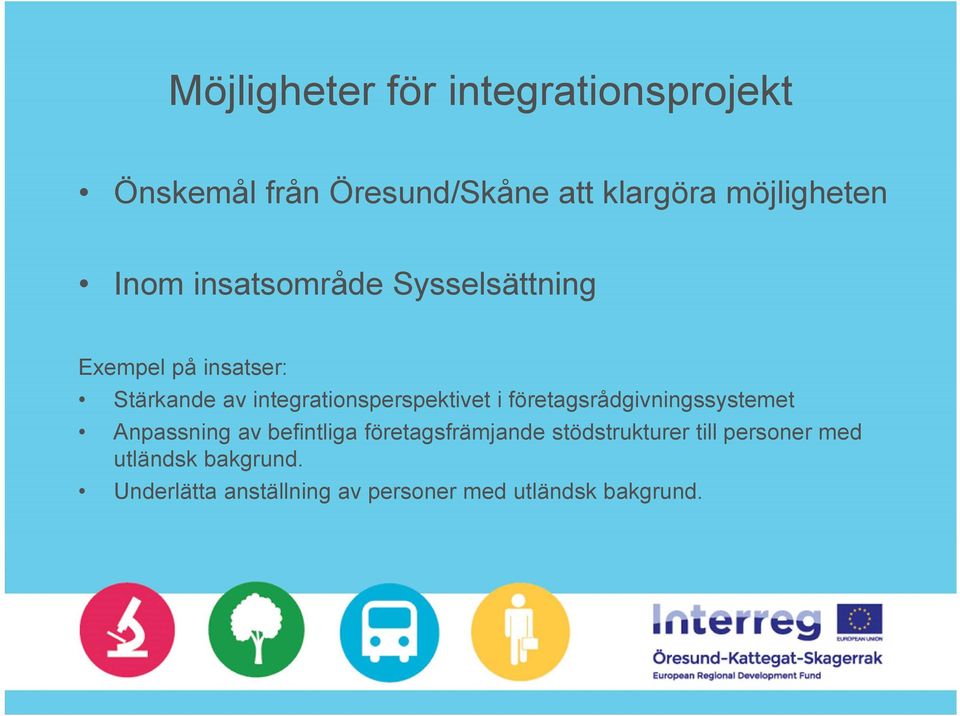 integrationsperspektivet i företagsrådgivningssystemet Anpassning av befintliga