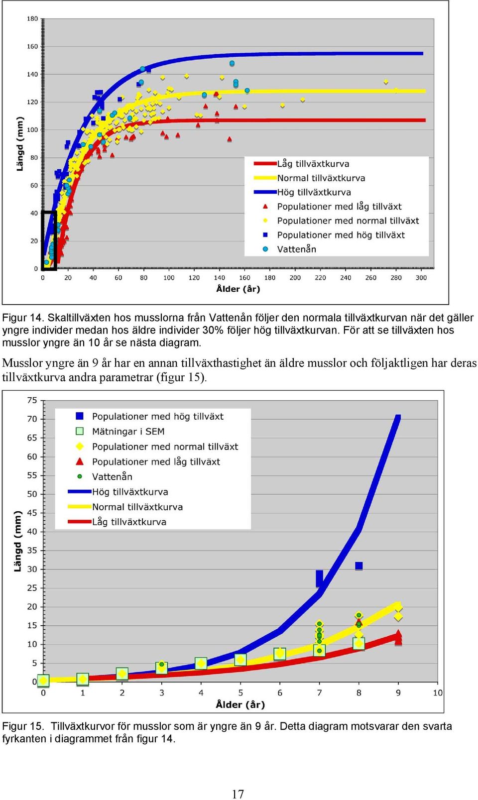 individer 30% följer hög tillväxtkurvan. För att se tillväxten hos musslor yngre än 10 år se nästa diagram.