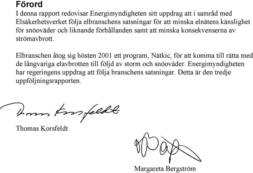 Elbranschen åtog sig hösten 2001 ett program, Nätkic, för att komma till rätta med de långvariga elavbrotten till följd av storm och