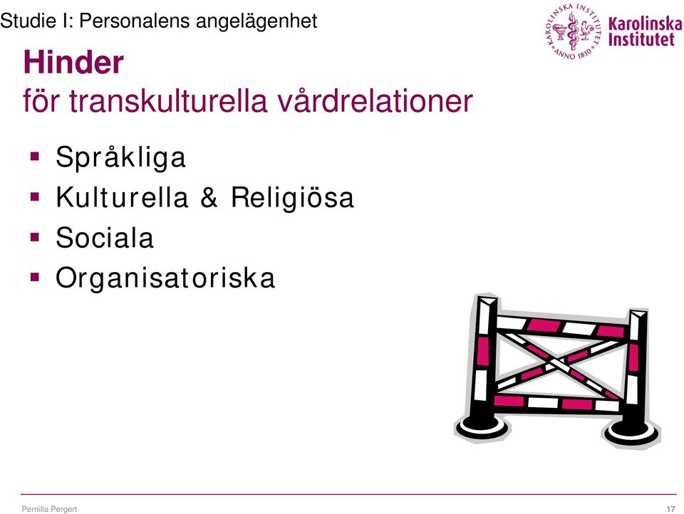 vårdrelationer Språkliga Kulturella &