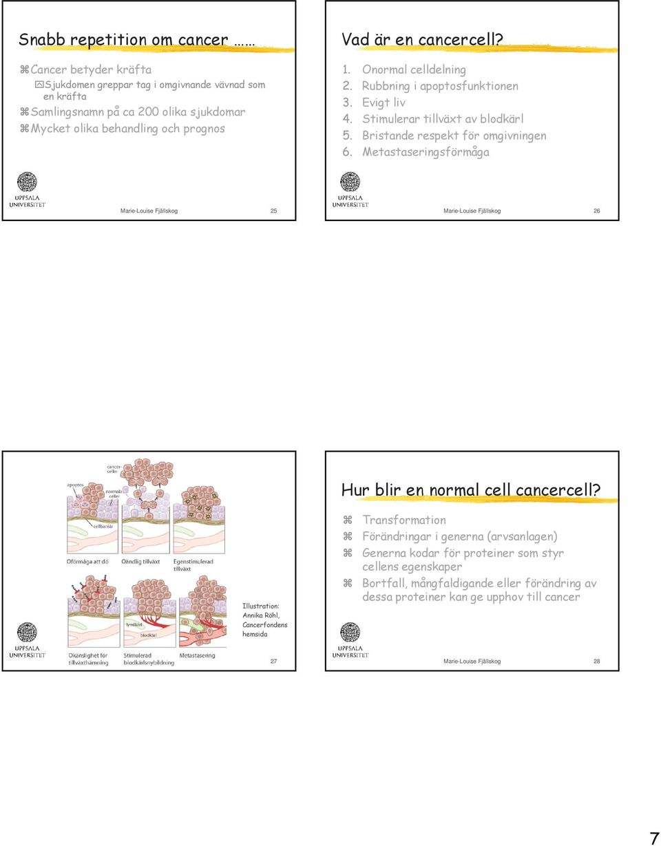 Metastaseringsförmåga Marie-Louise Fjällskog 25 Marie-Louise Fjällskog 26 Hur blir en normal cell cancercell?