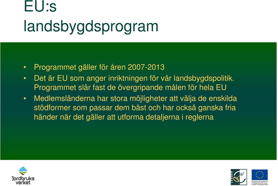 Programmet slår fast de övergripande målen för hela EU Medlemsländerna har stora