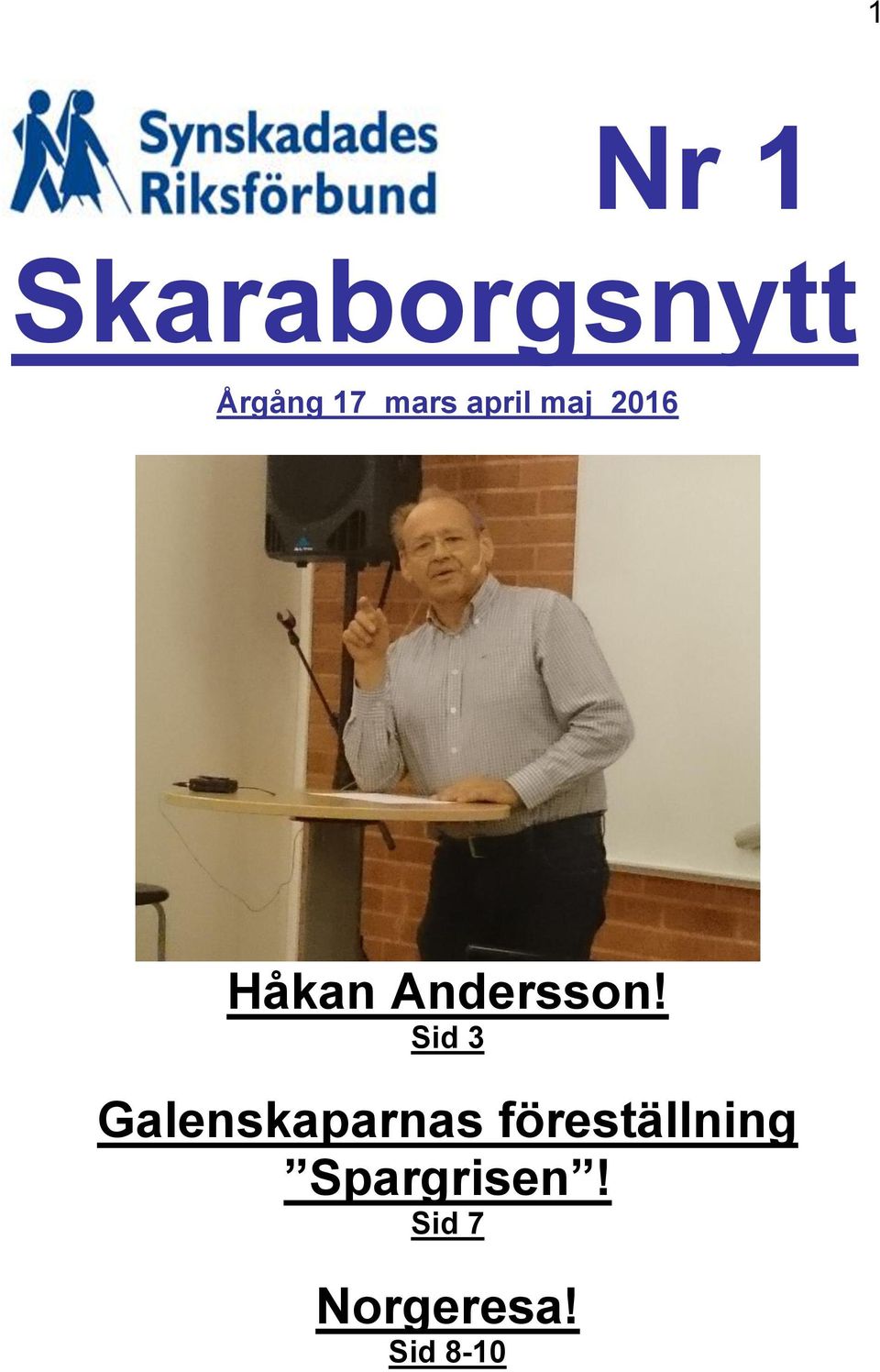 Sid 3 Galenskaparnas föreställning