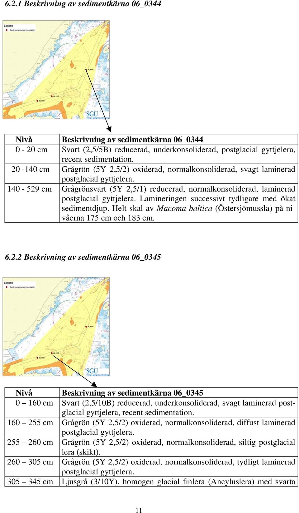 Lamineringen successivt tydligare med ökat sedimentdjup. Helt skal av Macoma baltica (Östersjömussla) på nivåerna 175 cm och 183 cm. 6.2.