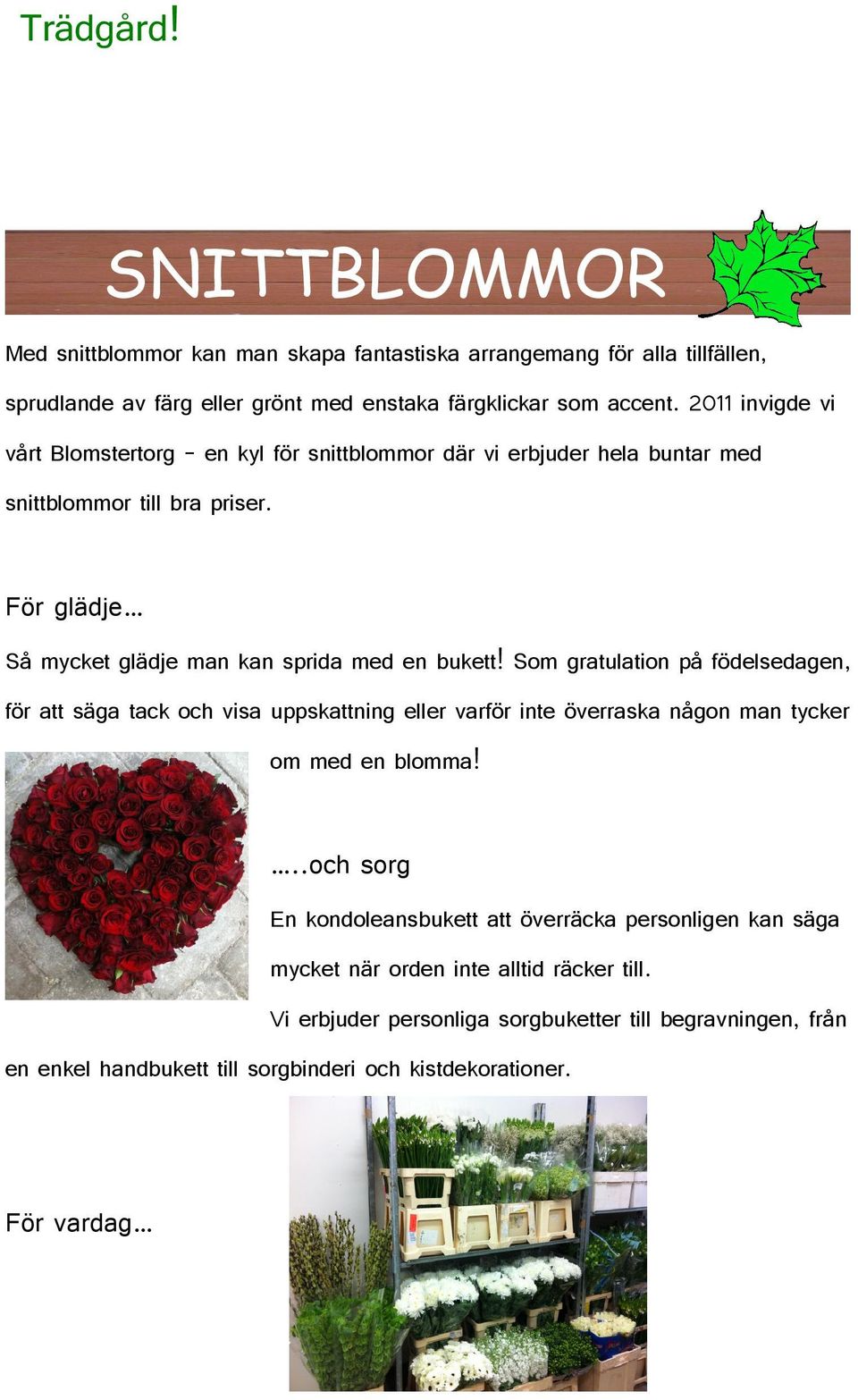 Som gratulation på födelsedagen, för att säga tack och visa uppskattning eller varför inte överraska någon man tycker om med en blomma!