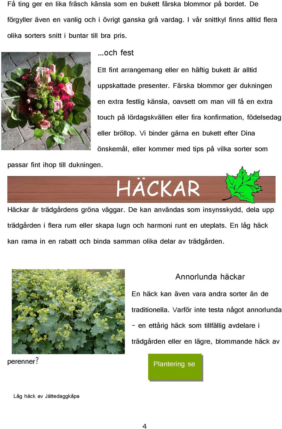 Färska blommor ger dukningen en extra festlig känsla, oavsett om man vill få en extra touch på lördagskvällen eller fira konfirmation, födelsedag eller bröllop.