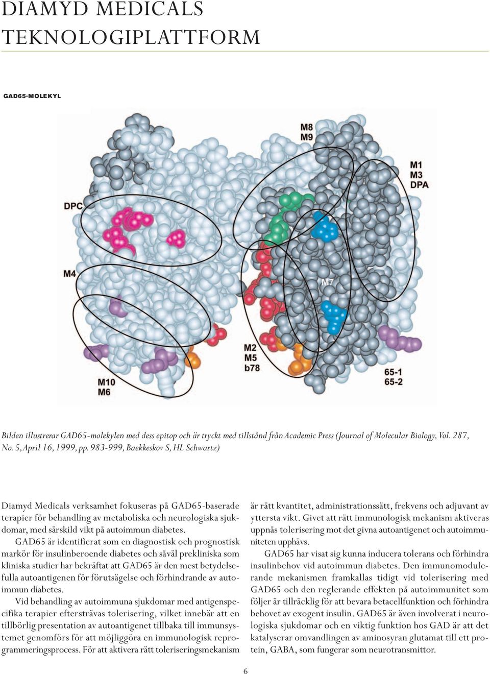 983-999,Baekkeskov S,HL Schwartz) Diamyd Medicals verksamhet fokuseras på GAD65-baserade terapier för behandling av metaboliska och neurologiska sjukdomar, med särskild vikt på autoimmun diabetes.