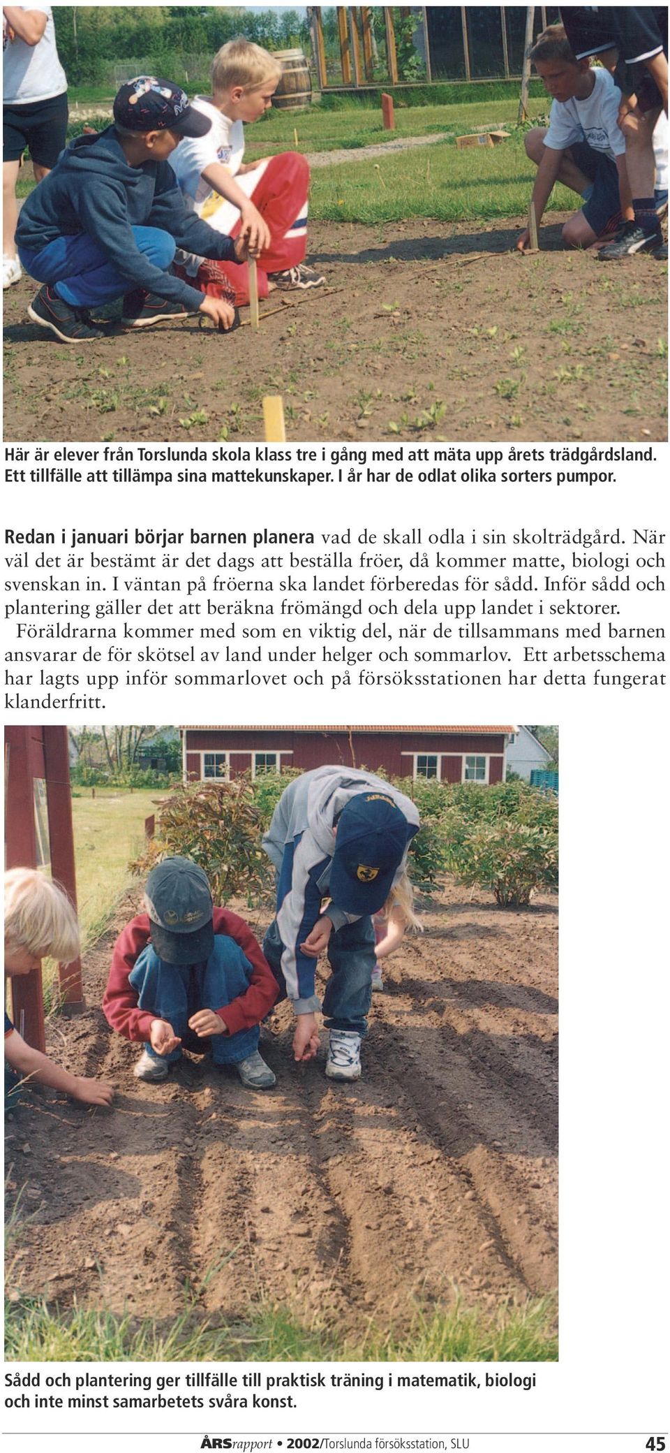 I väntan på fröerna ska landet förberedas för sådd. Inför sådd och plantering gäller det att beräkna frömängd och dela upp landet i sektorer.