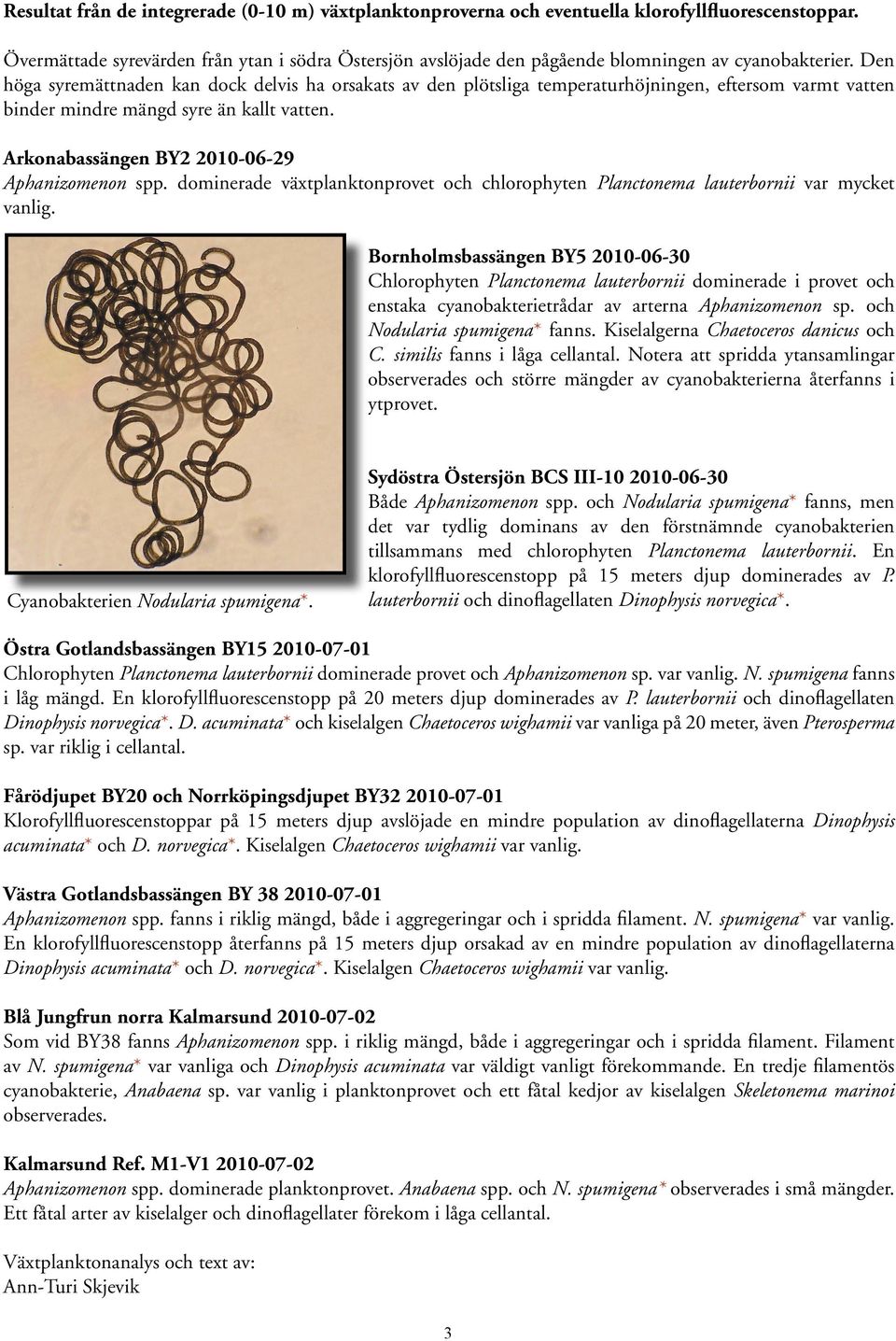 Den höga syremättnaden kan dock delvis ha orsakats av den plötsliga temperaturhöjningen, eftersom varmt vatten binder mindre mängd syre än kallt vatten. Arkonabassängen BY2 2-6-29 Aphanizomenon spp.