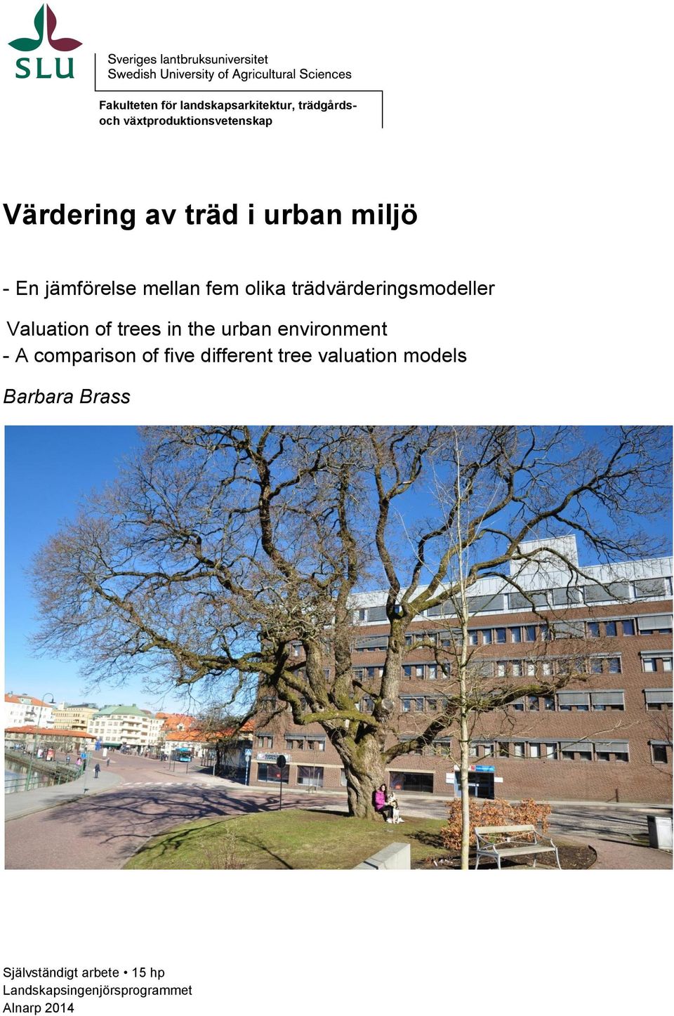 Valuation of trees in the urban environment - A comparison of five different tree