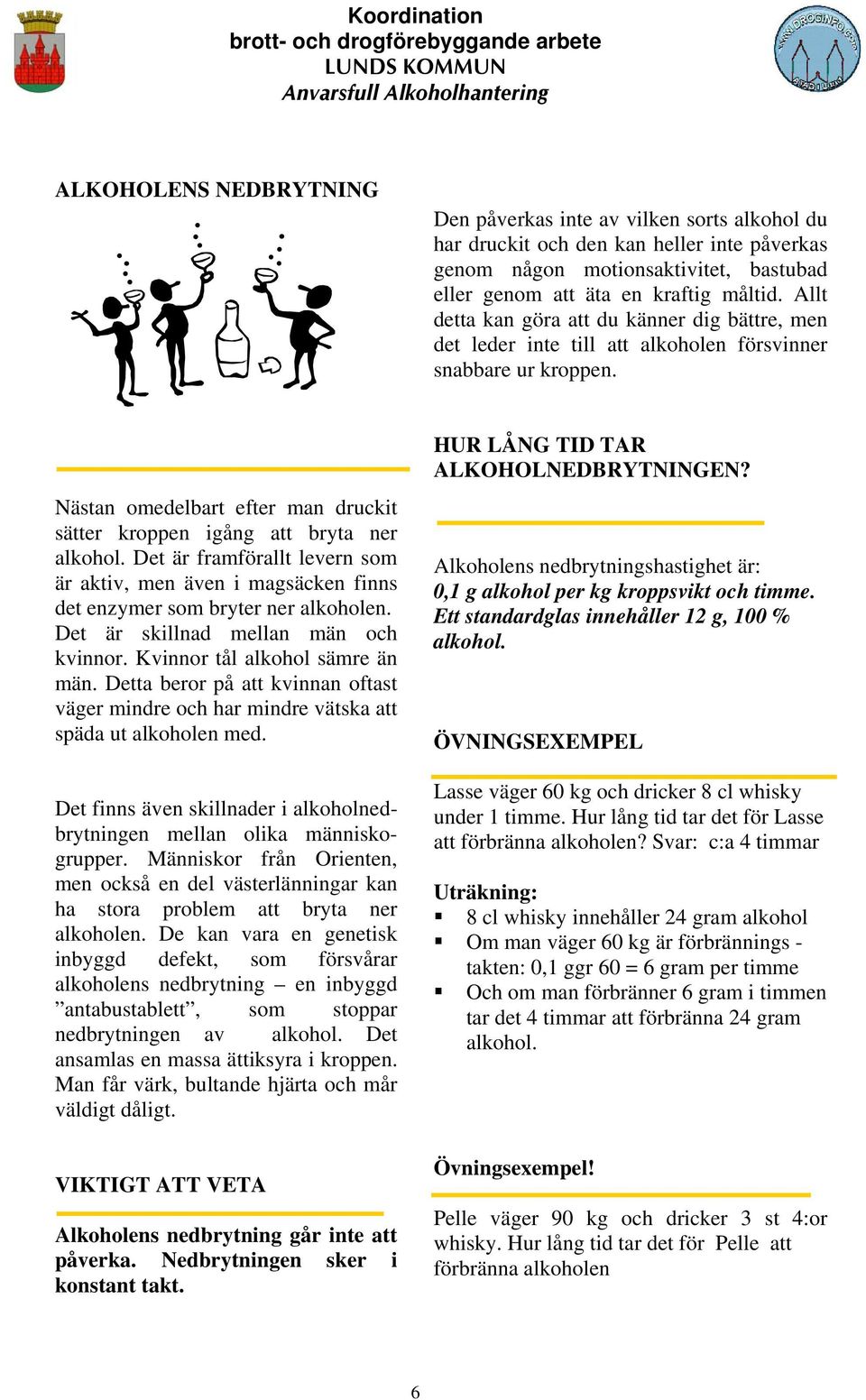 Det är framförallt levern som är aktiv, men även i magsäcken finns det enzymer som bryter ner alkoholen. Det är skillnad mellan män och kvinnor. Kvinnor tål alkohol sämre än män.